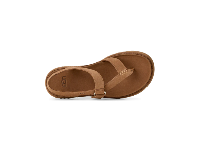 1175134-CHECHESTNUT_4